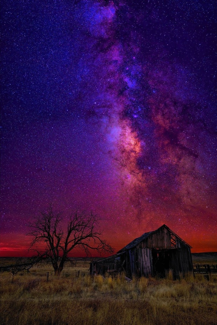 Night dreams