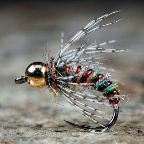 Shooting insect.