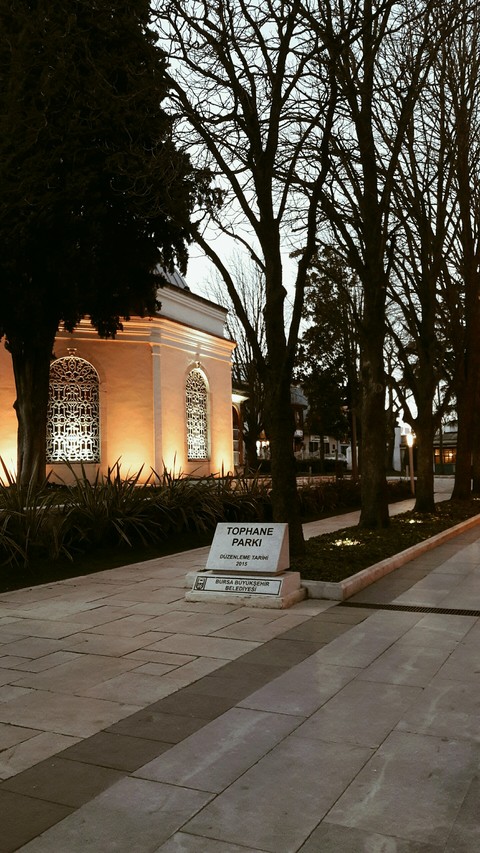шпалери Architecture, ağac
