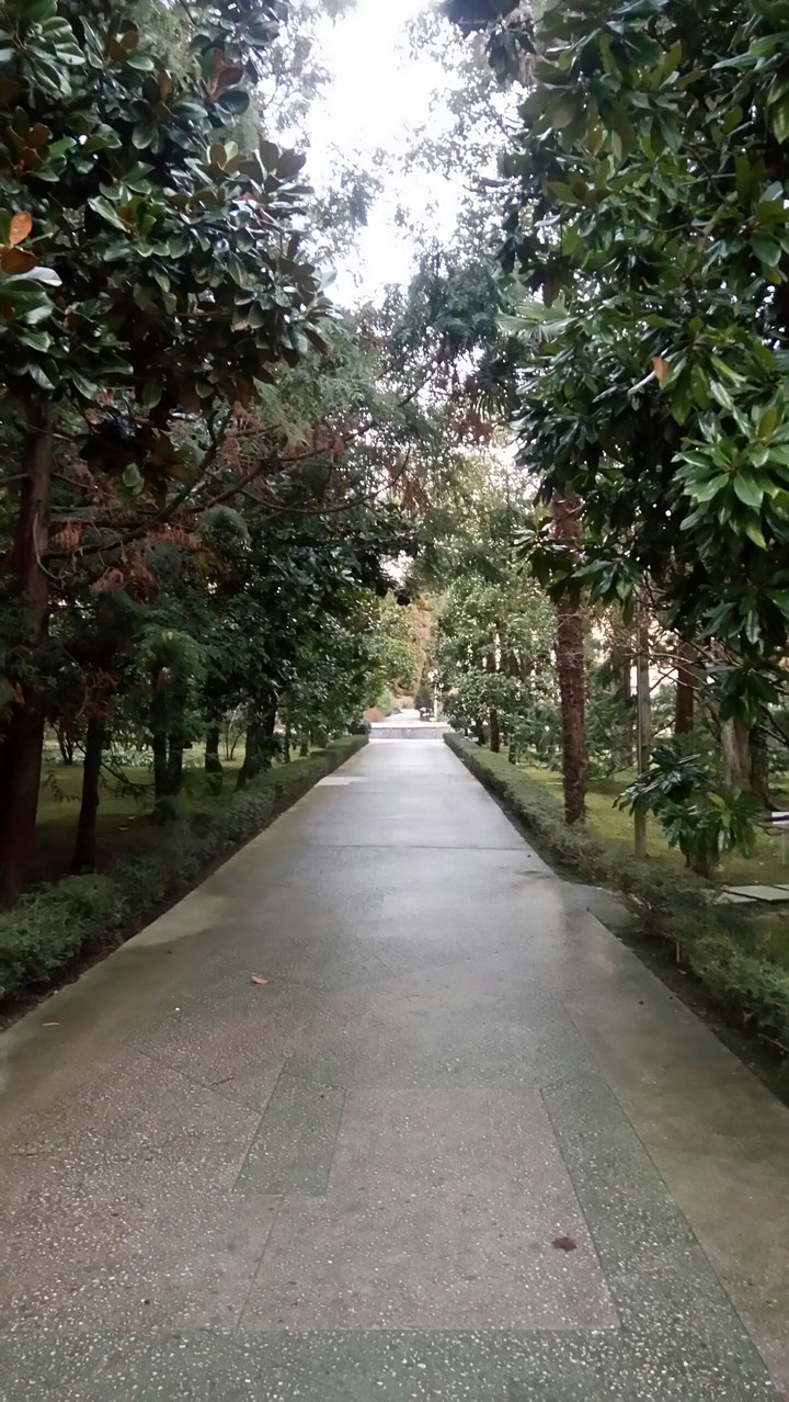 дорога