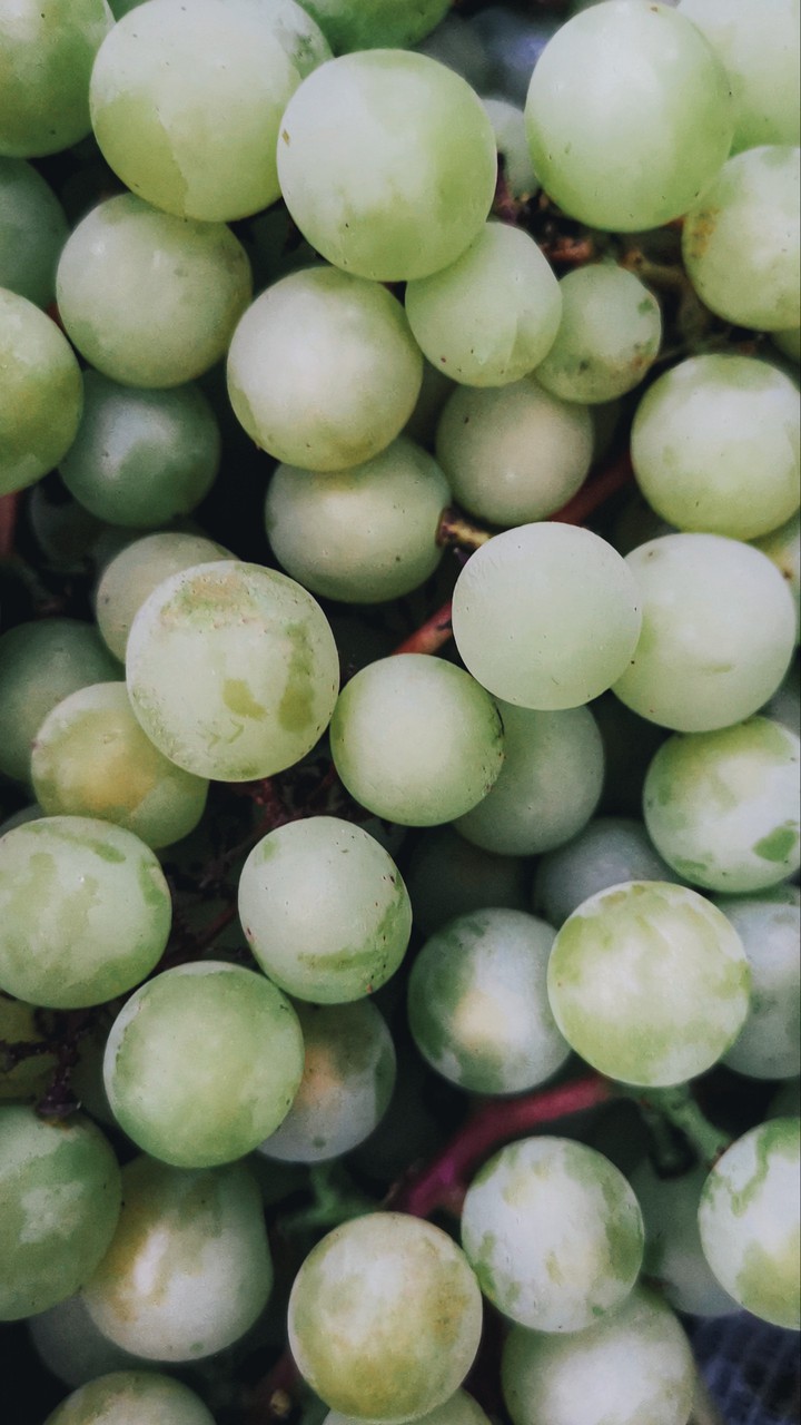 grapes