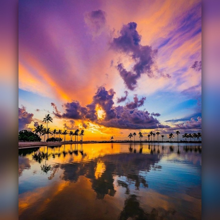 Nature's Beauty