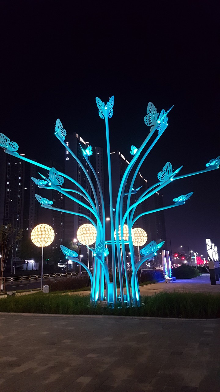butterfly