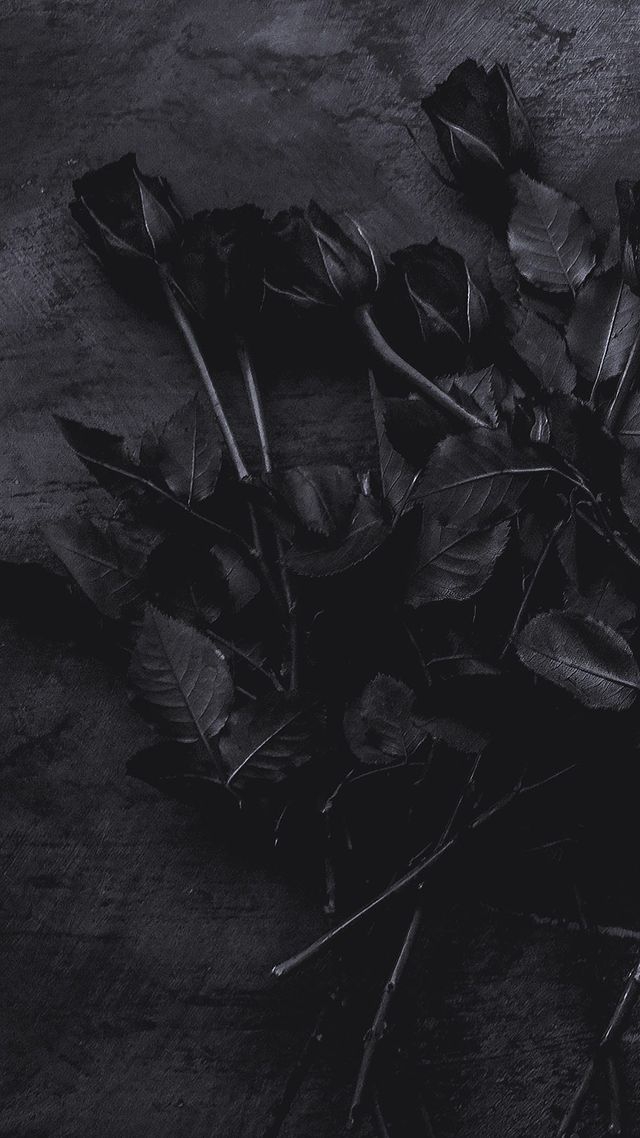 BLVCK Paris