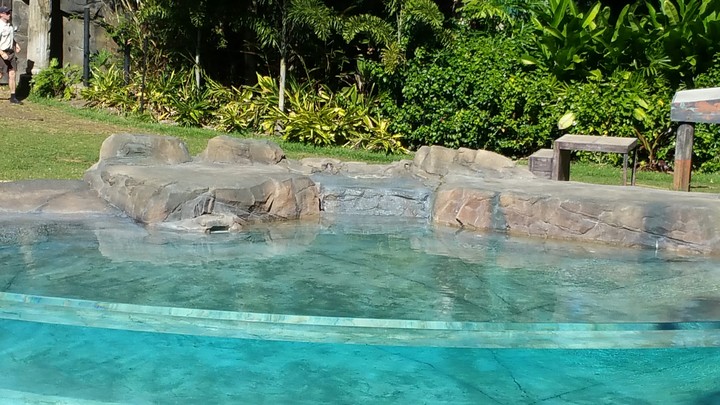 pool