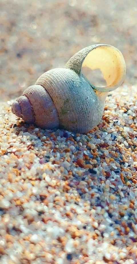 gravel, Spiral achtergronden