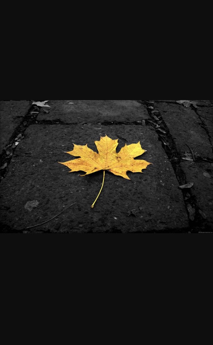 Autumn