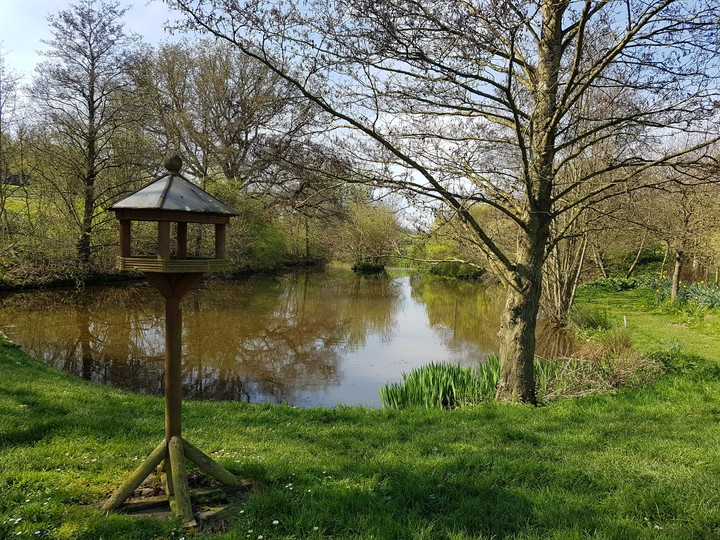 spring time