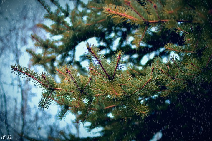 winter