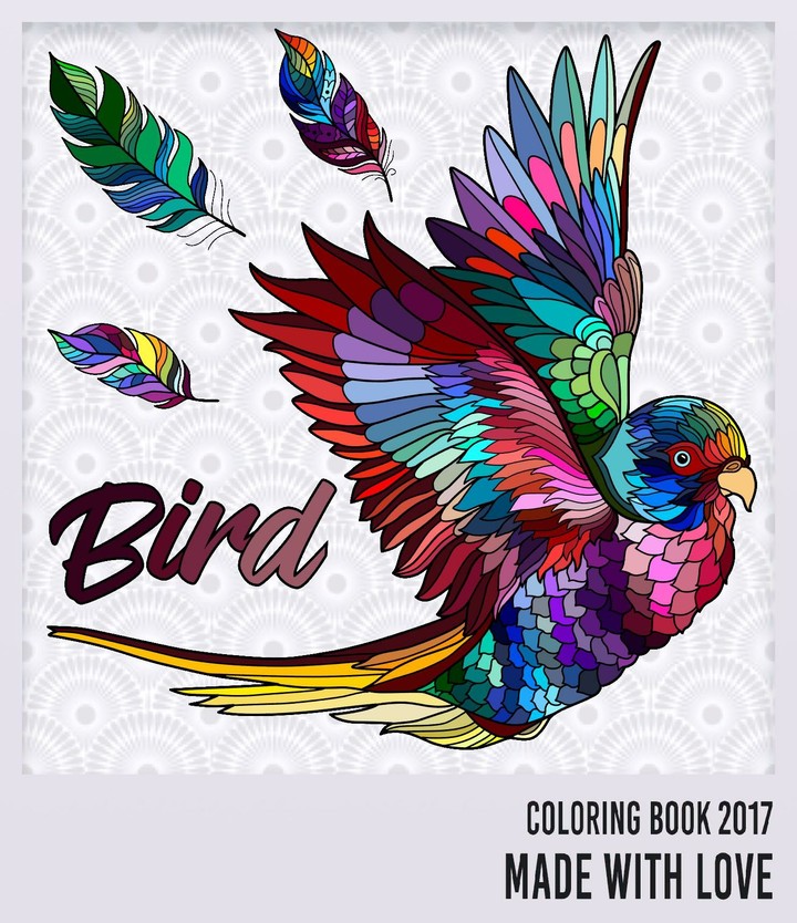 A bird