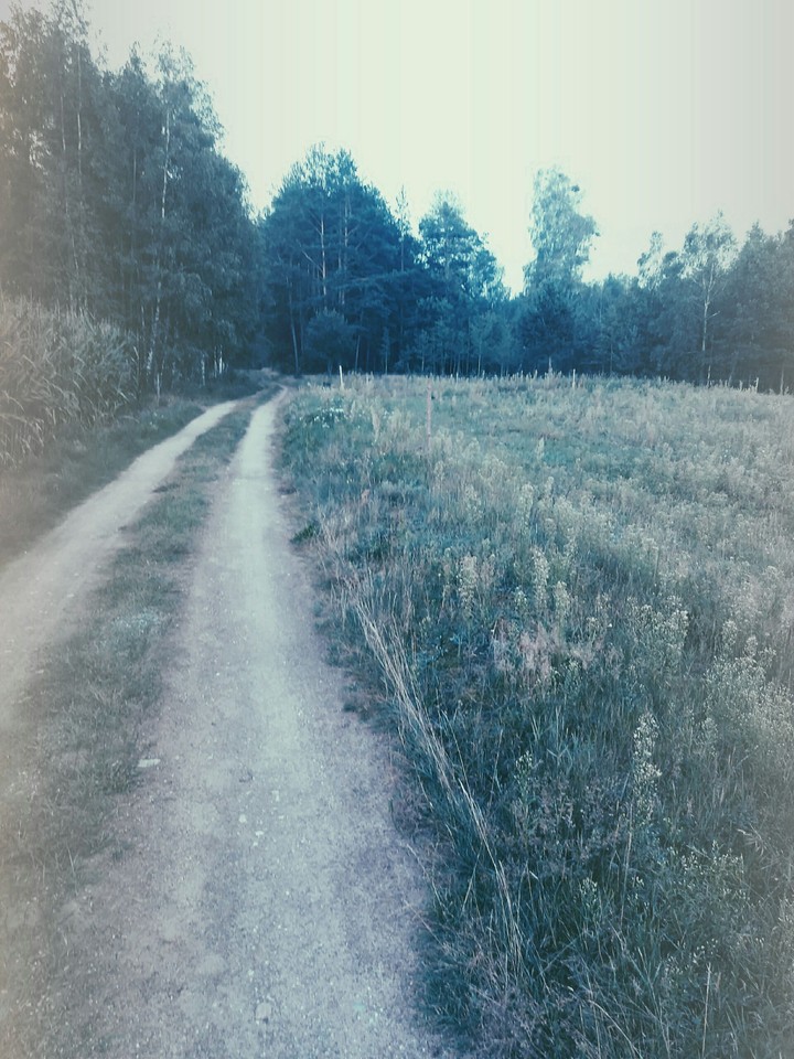 Road