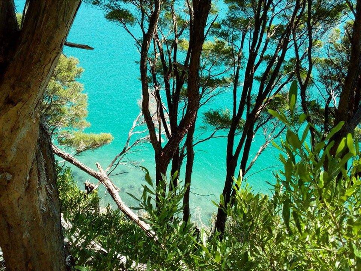 New zealand