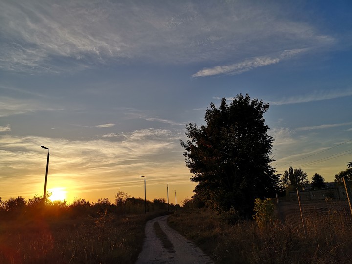 nature