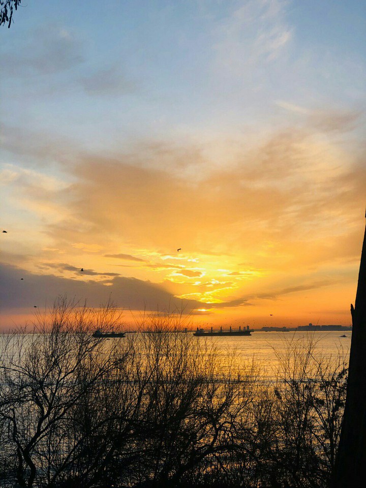 ☉