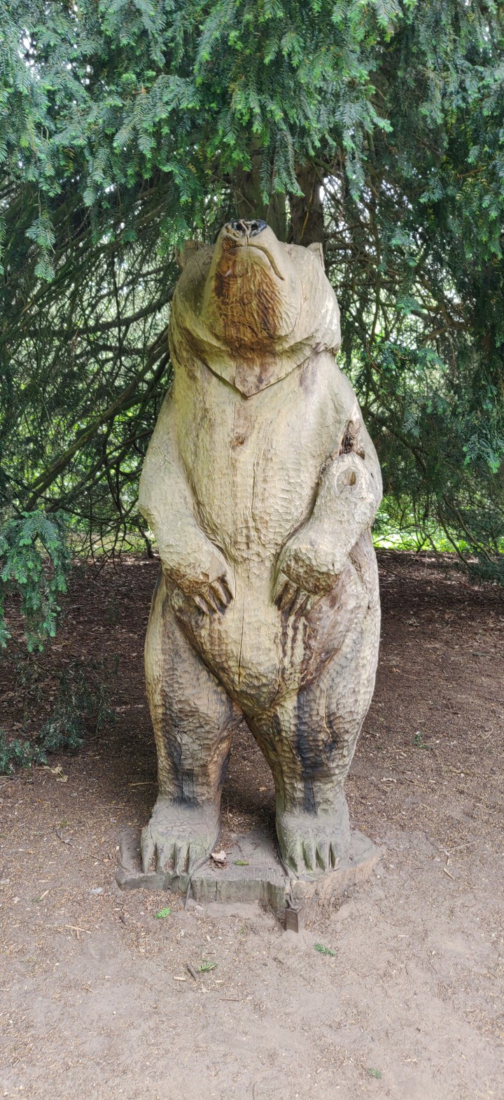 bear kew gardens