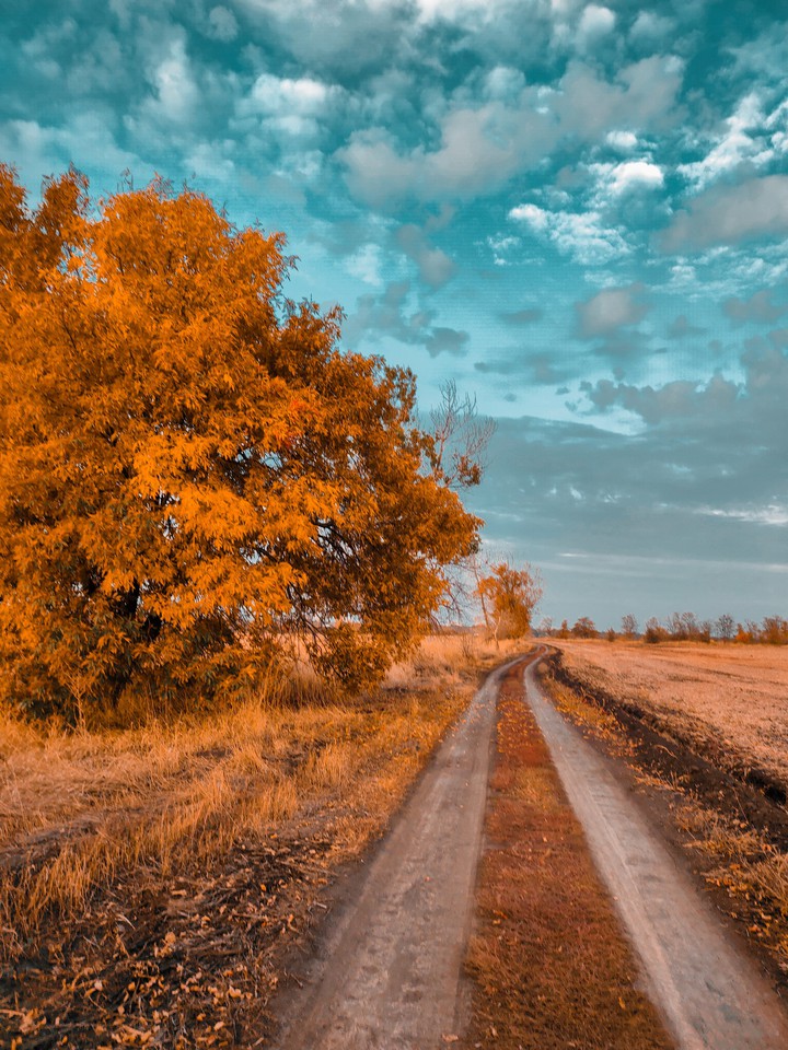 Fall | Осень