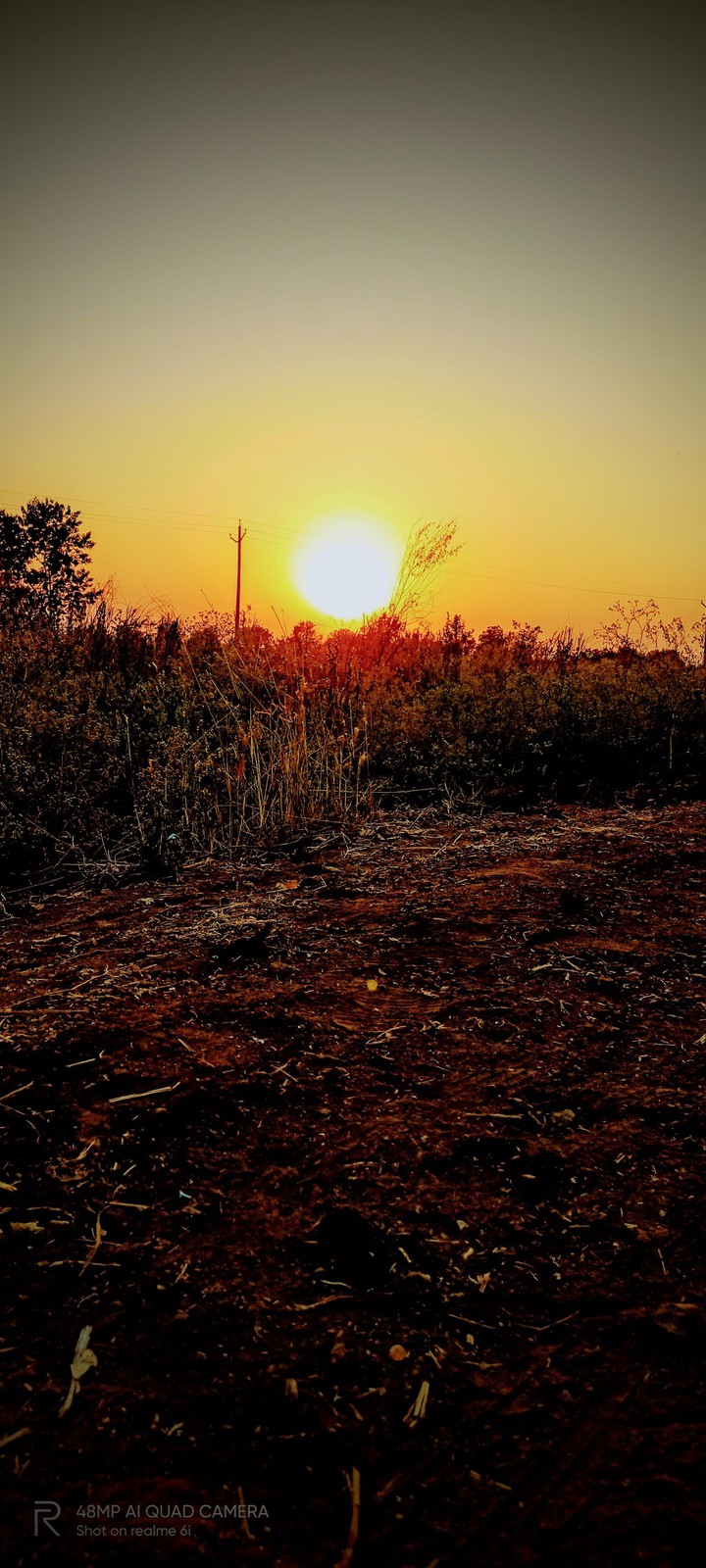 #sunset