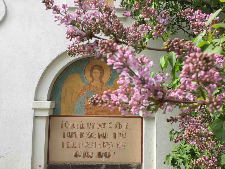 Spring in the convent