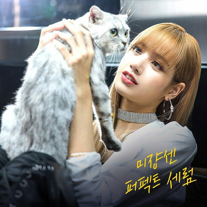 Blackpink -Lisa