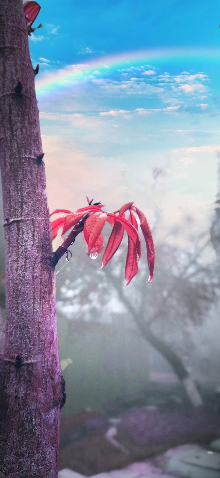 Nature