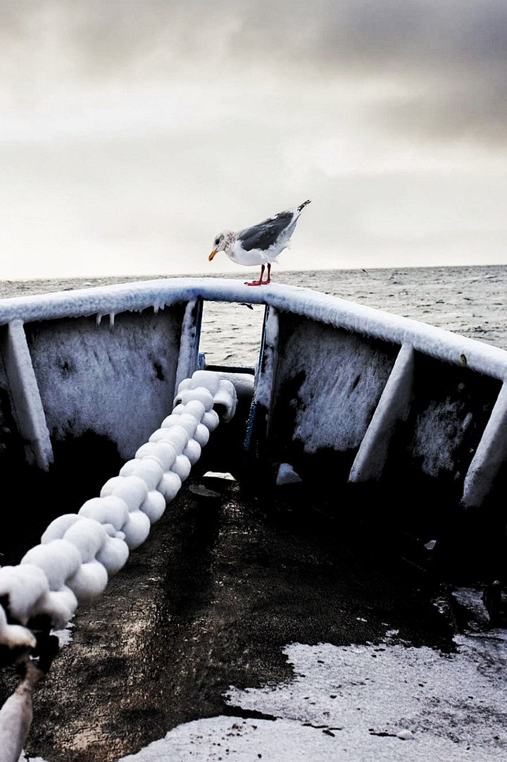 Natgeo