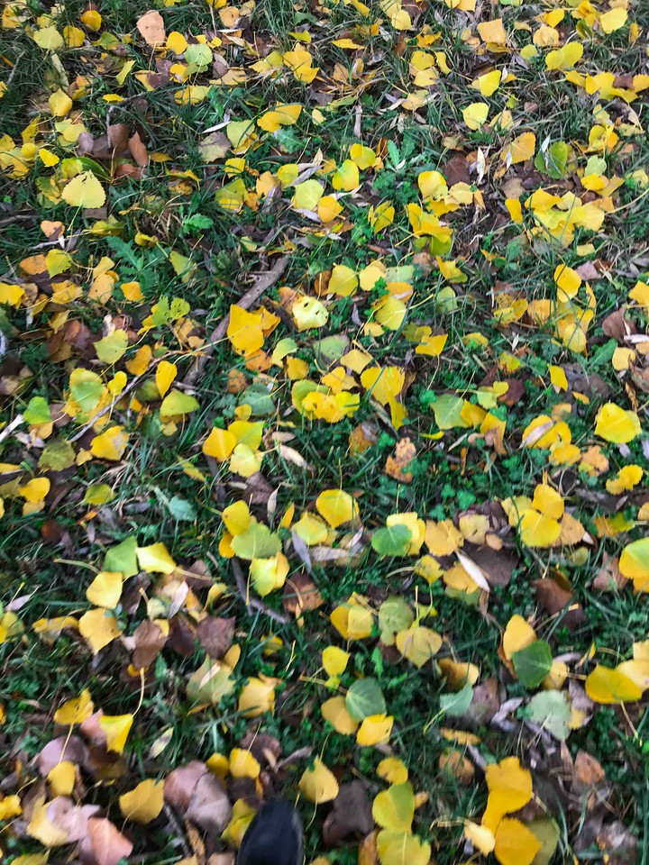 November