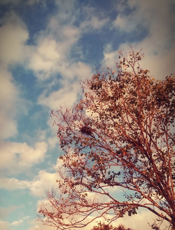 Autumn