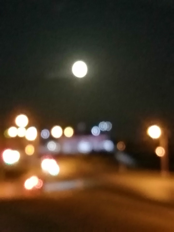 life in the night city