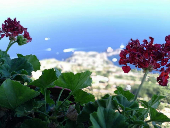 panorama