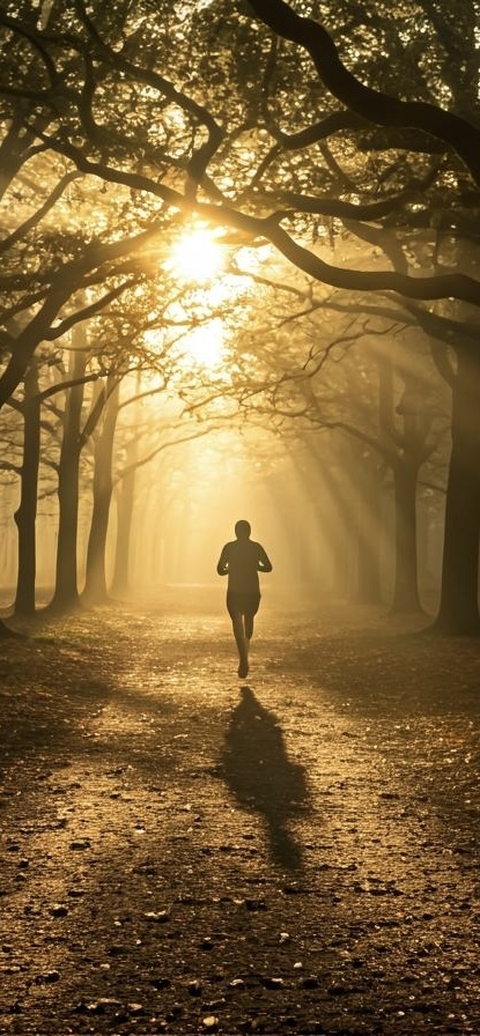 exercise, 照片桌布