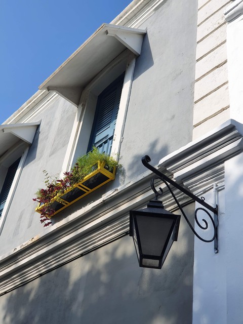 Windowsill Garden