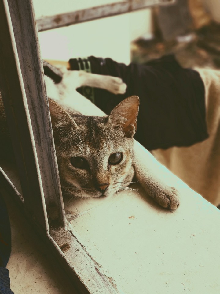 tired
