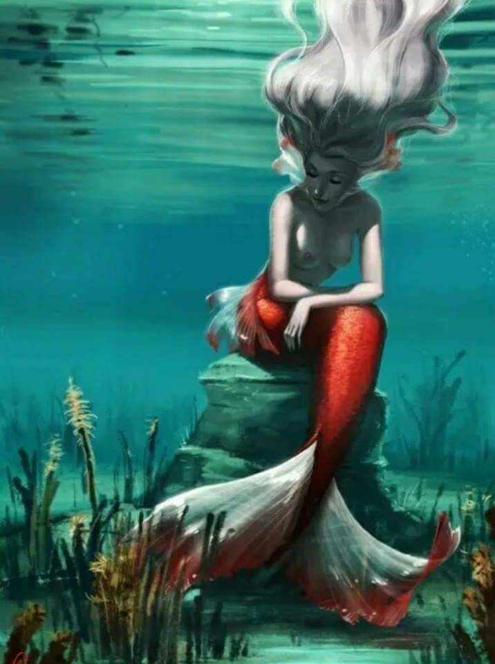 mermaid