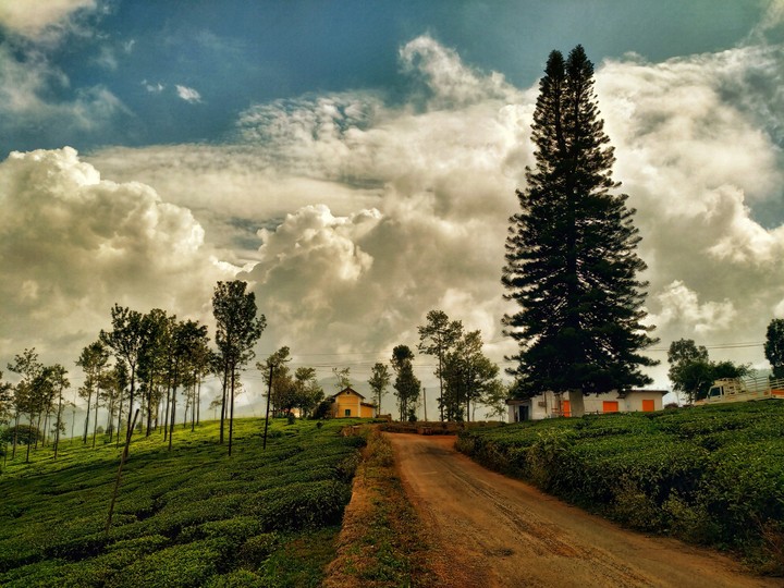 Ooty