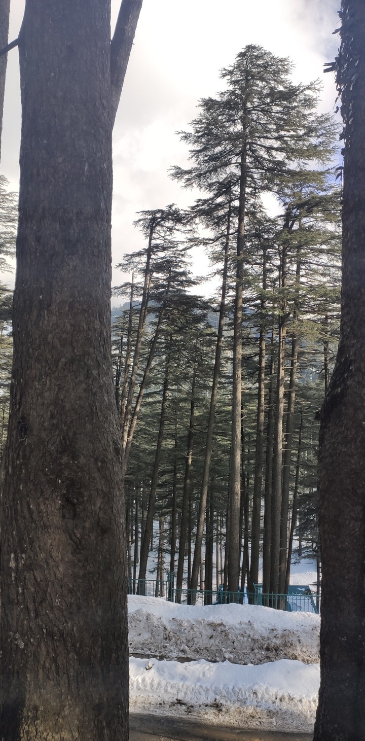 nature