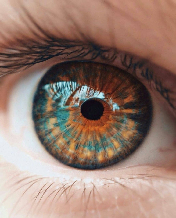 eye color