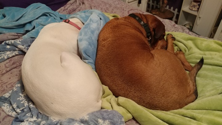 Soffie and Maddie spooning