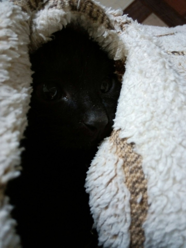 sleeping