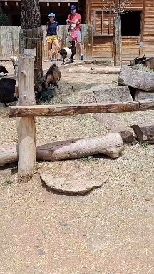 ZooAquarium Madrid