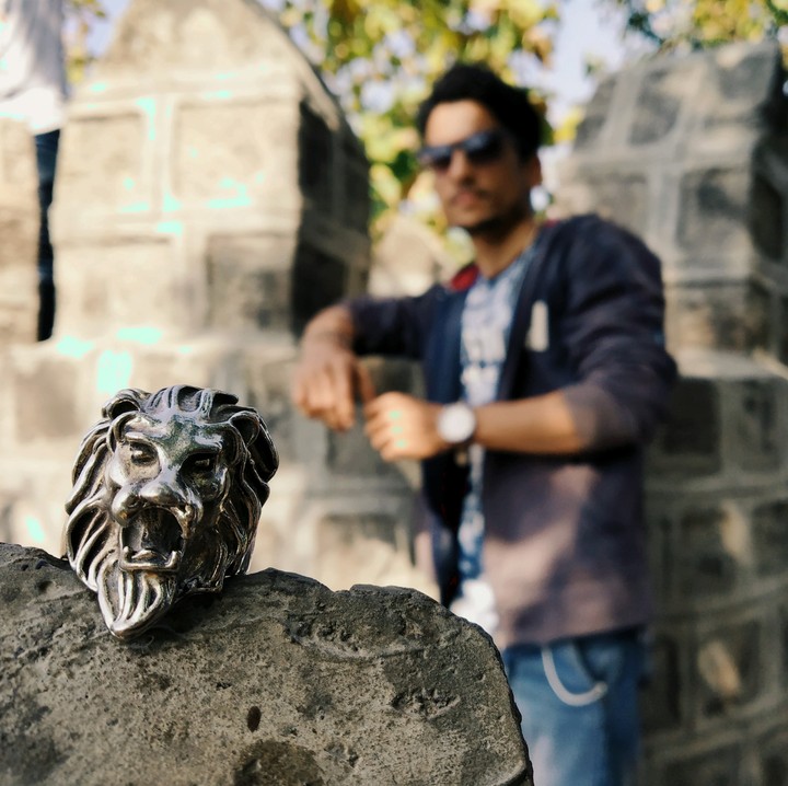 lion