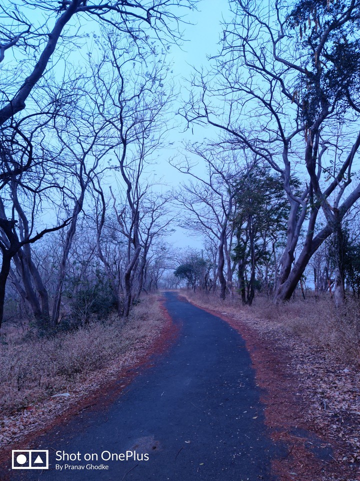 Nature