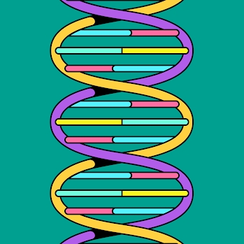 dna
