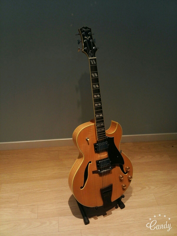 Guitar
