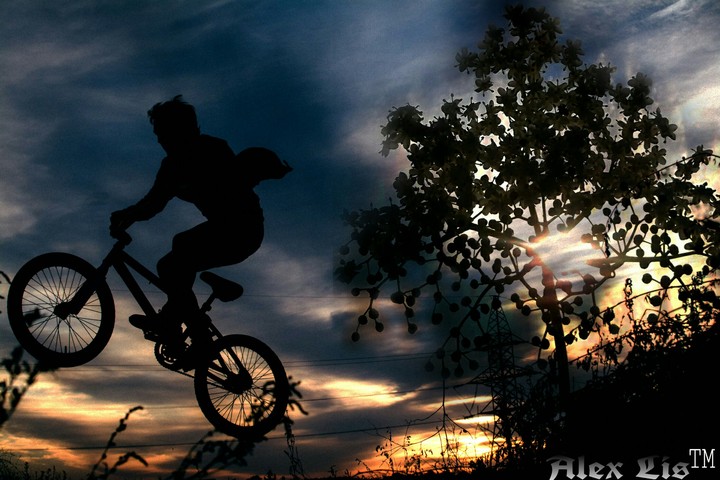 The race