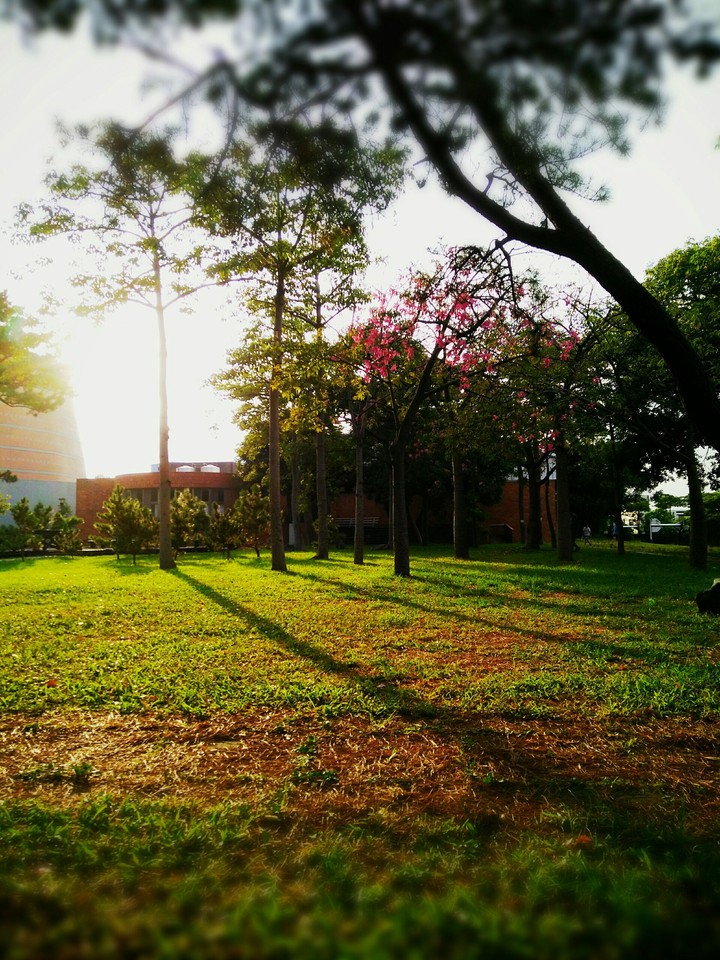 school