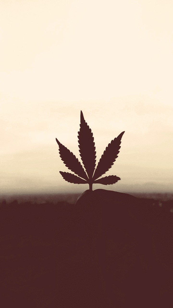 weed