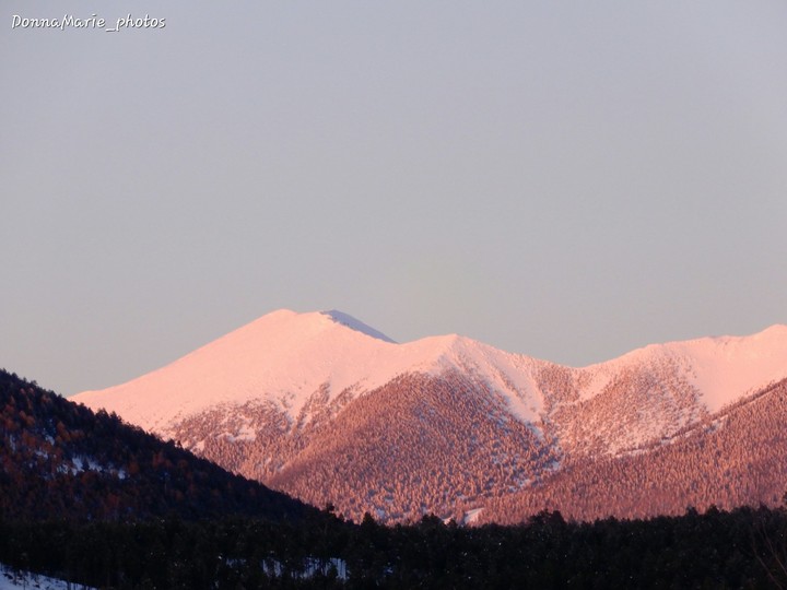 snowtop