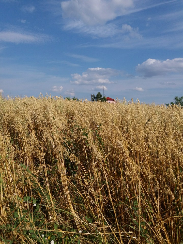літо