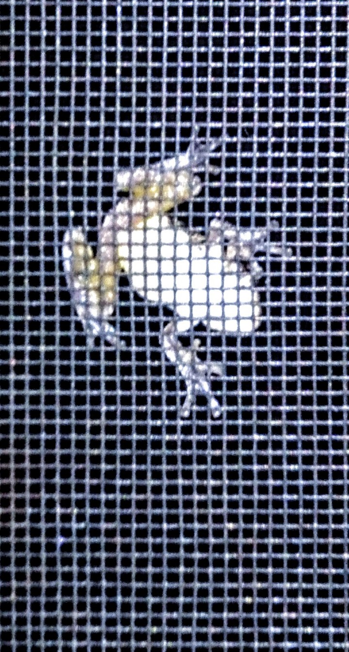 Peepin' Frog ?