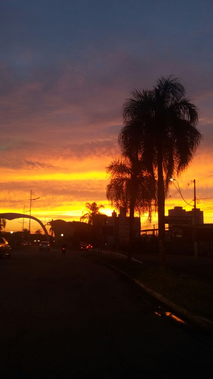 Sunset in the city